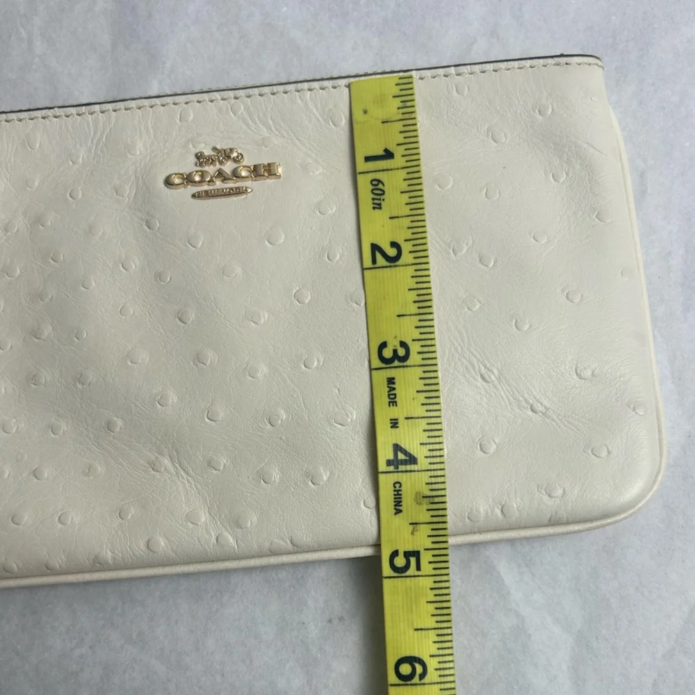 Coach inside creamy